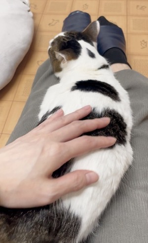 Chiaki Arimaの写メ日記｜エレガント 吉原高級店ソープ