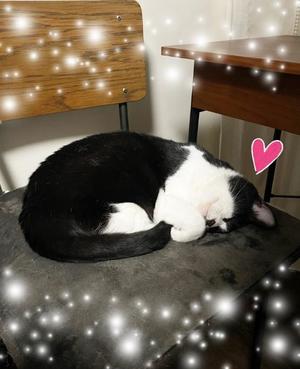 Chiaki Arimaの写メ日記｜エレガント 吉原高級店ソープ