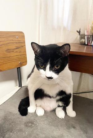 Chiaki Arimaの写メ日記｜エレガント 川崎高級店ソープ