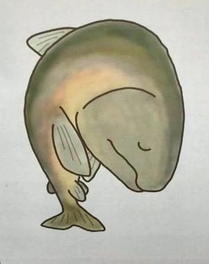 Chiaki Arimaの写メ日記｜エレガント 川崎高級店ソープ