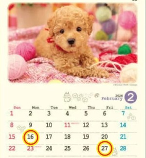 Reiko Igawaの写メ日記｜エレガント 吉原高級店ソープ