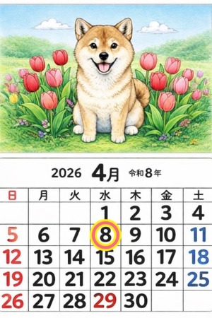 Reiko Igawaの写メ日記｜エレガント 川崎高級店ソープ