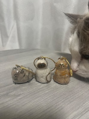 Akane Niikuraの写メ日記｜エレガント 吉原高級店ソープ