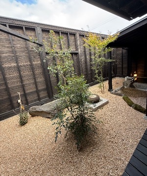 Ren Saotomeの写メ日記｜エレガント 吉原高級店ソープ