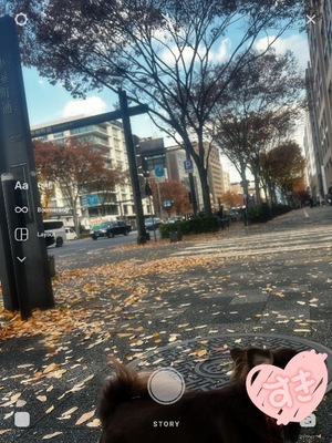 Ichika Amaneの写メ日記｜エレガント 川崎高級店ソープ