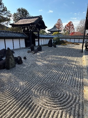 Yu Shiraneの写メ日記｜エレガント 吉原高級店ソープ