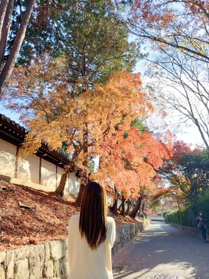 Yu Shiraneの写メ日記｜エレガント 吉原高級店ソープ