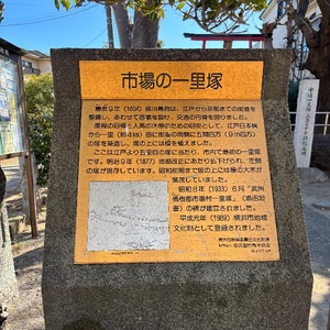 Yu Shiraneの写メ日記｜エレガント 吉原高級店ソープ