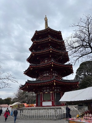 Yu Shiraneの写メ日記｜エレガント 吉原高級店ソープ