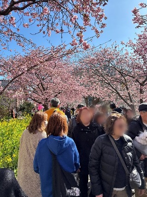 Yu Shiraneの写メ日記｜エレガント 吉原高級店ソープ