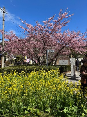 Yu Shiraneの写メ日記｜エレガント 吉原高級店ソープ