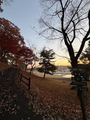 Emi Terasawaの写メ日記｜エレガント 吉原高級店ソープ