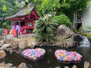 Mami Nonakaの写メ日記｜エレガント 吉原高級店ソープ