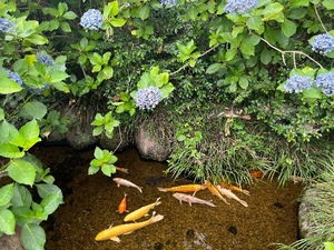Mami Nonakaの写メ日記｜エレガント 吉原高級店ソープ