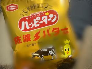 Sanae Himuroの写メ日記｜エレガント 吉原高級店ソープ