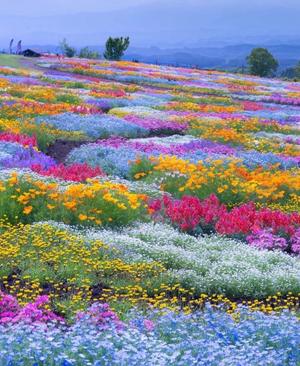 Sanae Himuroの写メ日記｜エレガント 川崎高級店ソープ