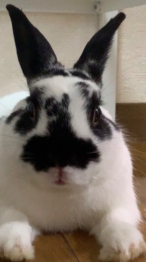 Ayami Imaiの写メ日記｜エレガント 吉原高級店ソープ