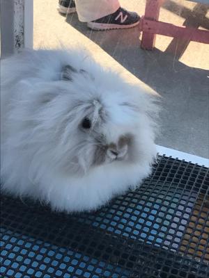 Ayami Imaiの写メ日記｜エレガント 吉原高級店ソープ