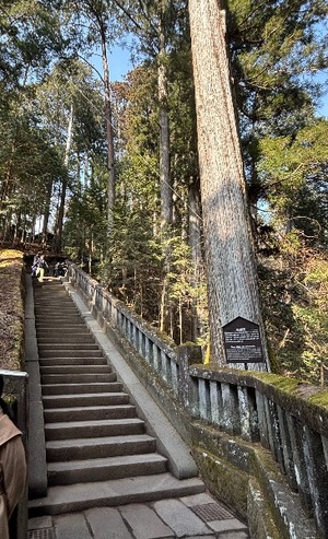 Ayami Imaiの写メ日記｜エレガント 吉原高級店ソープ