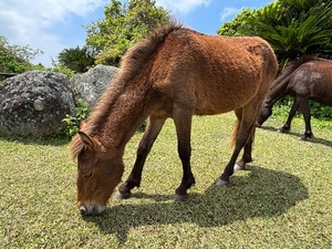 Ayami Imaiの写メ日記｜エレガント 吉原高級店ソープ