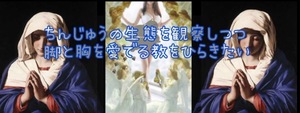 Rin Izumiの写メ日記｜エレガント 吉原高級店ソープ