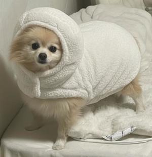 Saika　Houzukiの写メ日記｜エレガント 吉原高級店ソープ