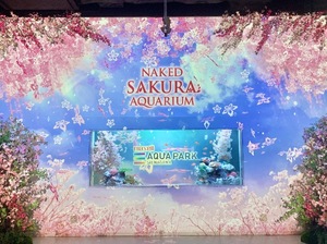 Shizuku Tsukinoの写メ日記｜エレガント 吉原高級店ソープ
