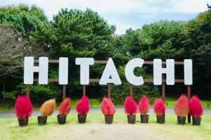 Shizuku Tsukinoの写メ日記｜エレガント 吉原高級店ソープ