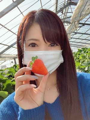 Shizuku Tsukinoの写メ日記｜エレガント 吉原高級店ソープ