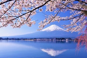 Shizuku Tsukinoの写メ日記｜エレガント 吉原高級店ソープ