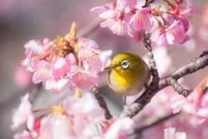 Shizuku Tsukinoの写メ日記｜エレガント 川崎高級店ソープ