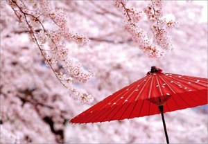 Shizuku Tsukinoの写メ日記｜エレガント 川崎高級店ソープ