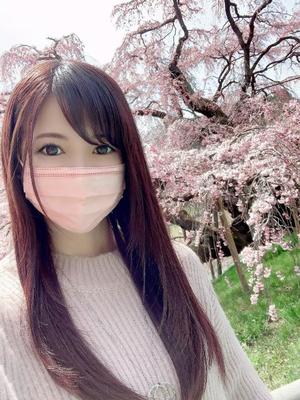 Shizuku Tsukinoの写メ日記｜エレガント 川崎高級店ソープ