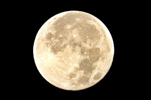 Chisato Asouの写メ日記｜エレガント 吉原高級店ソープ