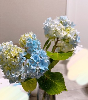 Anju Aiharaの写メ日記｜エレガント 川崎高級店ソープ