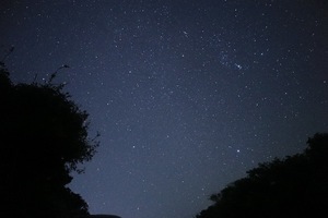 Sena Mizuharaの写メ日記｜エレガント 吉原高級店ソープ