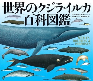 Sena Mizuharaの写メ日記｜エレガント 川崎高級店ソープ