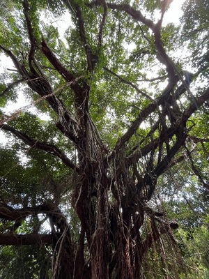 Sena Mizuharaの写メ日記｜エレガント 川崎高級店ソープ