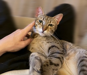 Sena Mizuharaの写メ日記｜エレガント 吉原高級店ソープ