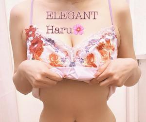 Haru Shinozakiの写メ日記|エレガント 吉原高級店ソープ