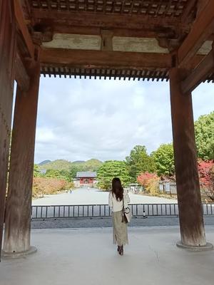 白鹿さと美の写メ日記｜エトワール 吉原高級店ソープ