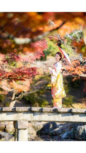 更科茉莉花の写メ日記｜エトワール 吉原高級店ソープ