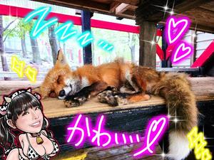 小桜みるく。の写メ日記｜エトワール 吉原高級店ソープ