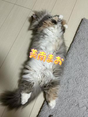 美南まおの写メ日記｜エトワール 吉原高級店ソープ