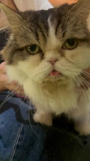 シュリ【20代】の写メ日記｜ガータープリンセス&ミセス 吉原格安店ソープ