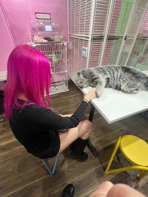 ケリー【20代】の写メ日記｜ガータープリンセス&ミセス 吉原格安店ソープ