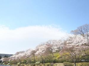 りん【20代】の写メ日記｜ガータープリンセス&ミセス 吉原格安店ソープ