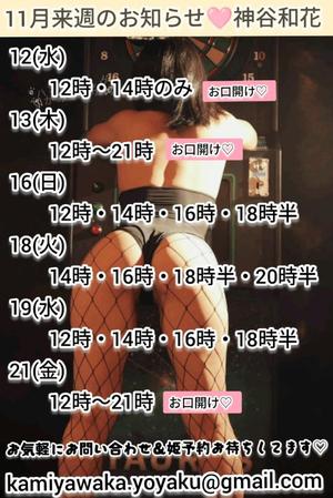 神谷和花の写メ日記｜ハールブルク 吉原高級店ソープ