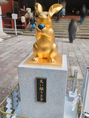 神谷和花の写メ日記｜ハールブルク 吉原高級店ソープ