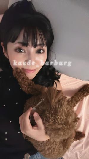 浜川 楓の写メ日記|ハールブルク 吉原高級店ソープ